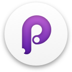 principle icon